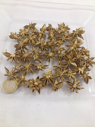 Star anise gold 40 gr.